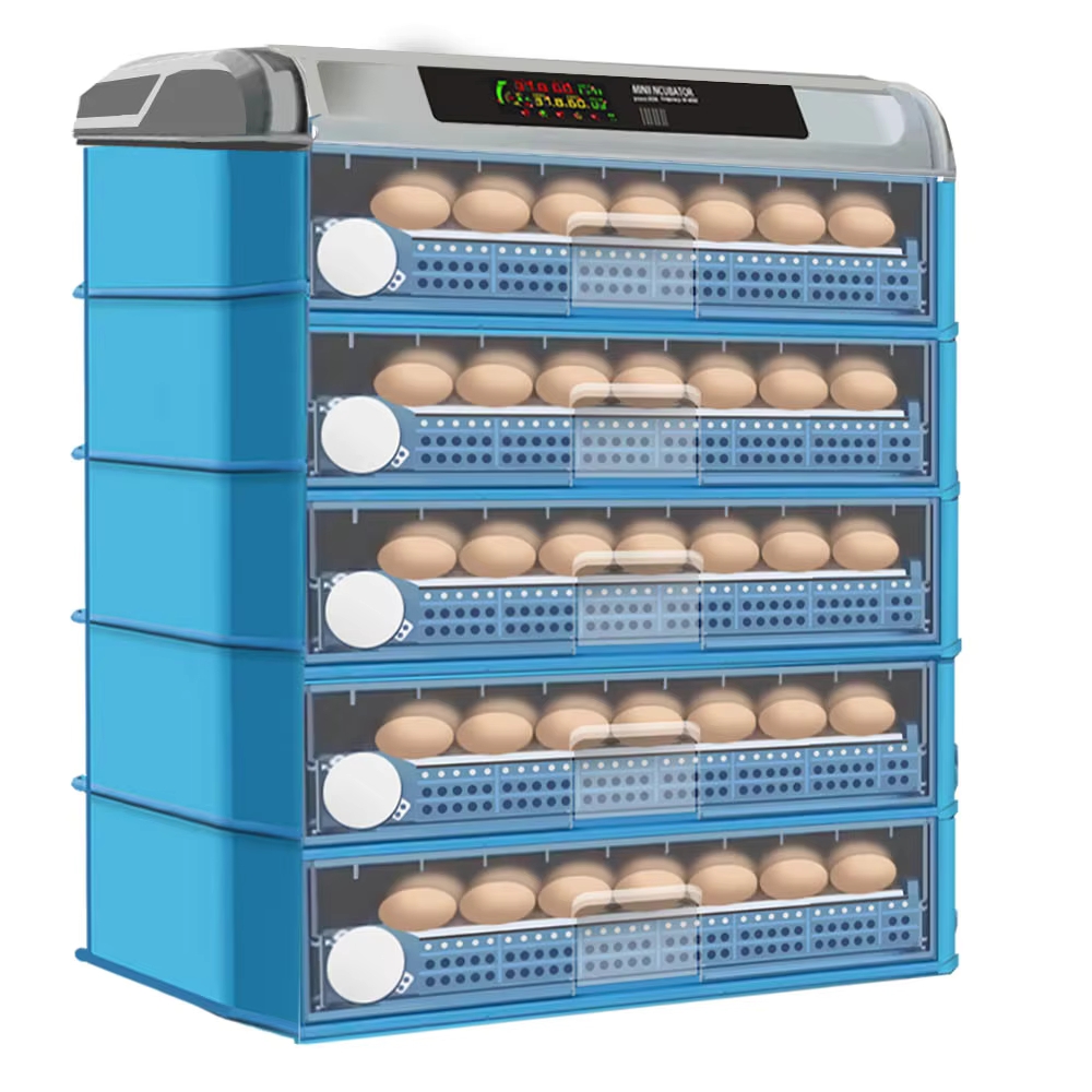 Automatic Intelligent 500 Egg  - Power Supply 12V 评论和价格